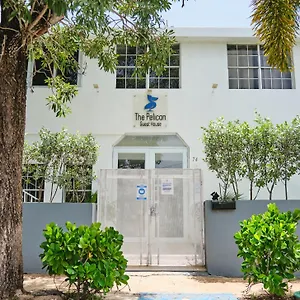Pensión The Pelican Poshtel